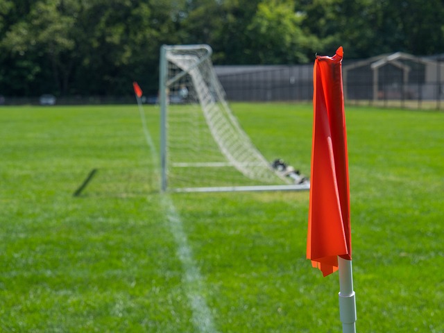 还带动了地 还带动了地