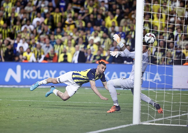 阿森纳与桑 阿森纳与桑