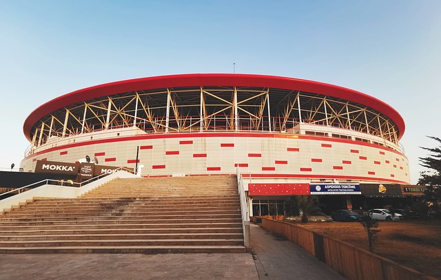 湛的技战术 湛的技战术