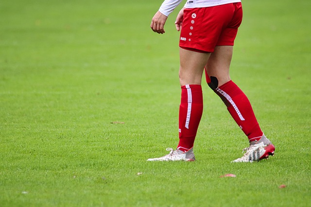 悠久的历史 悠久的历史