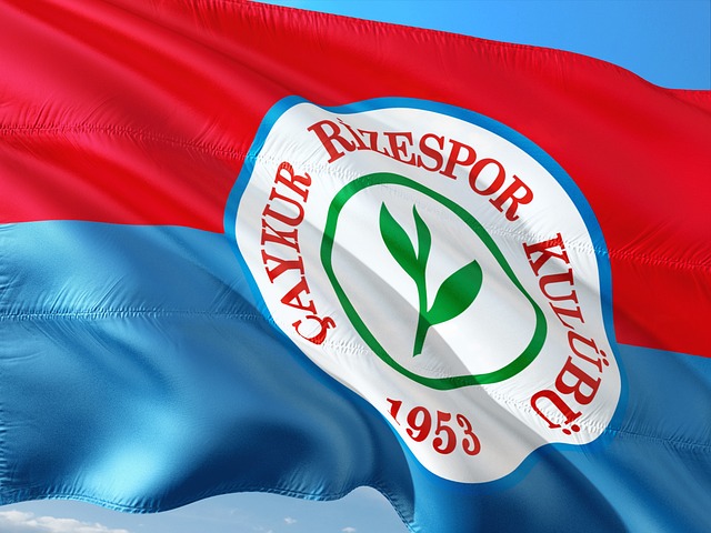 在反思林高 在反思林高