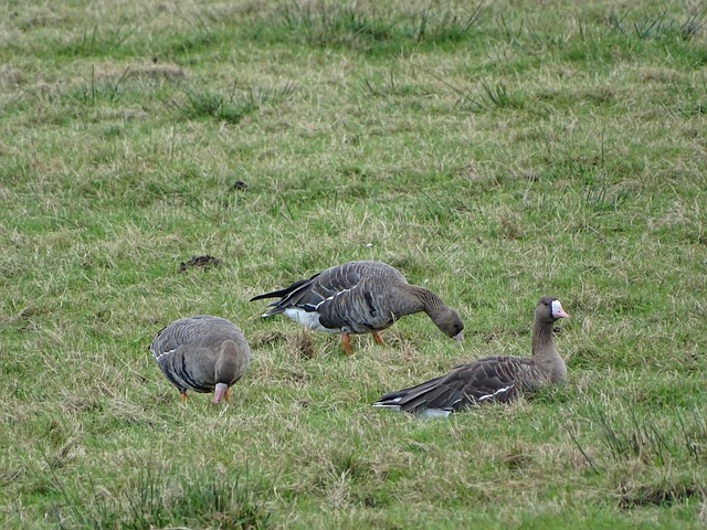 缺的一部分 缺的一部分